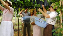 Divulgação Secretaria Municipal de Turismo, Indústria, Comércio e Serviços de Flores da Cunha