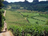 Parreirais da Serra Gaúcha, cenário do Wine Bike (Dall’Onder / Divulgação)