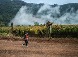 Correndo ao lado dos parreirais - Divulgação Wine Run